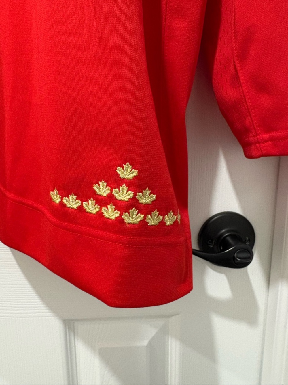 Team Canada Nike Jersey 2013 IIHF hockey Olympics Patch Men’s Size XL Nike - Picture 6 of 6